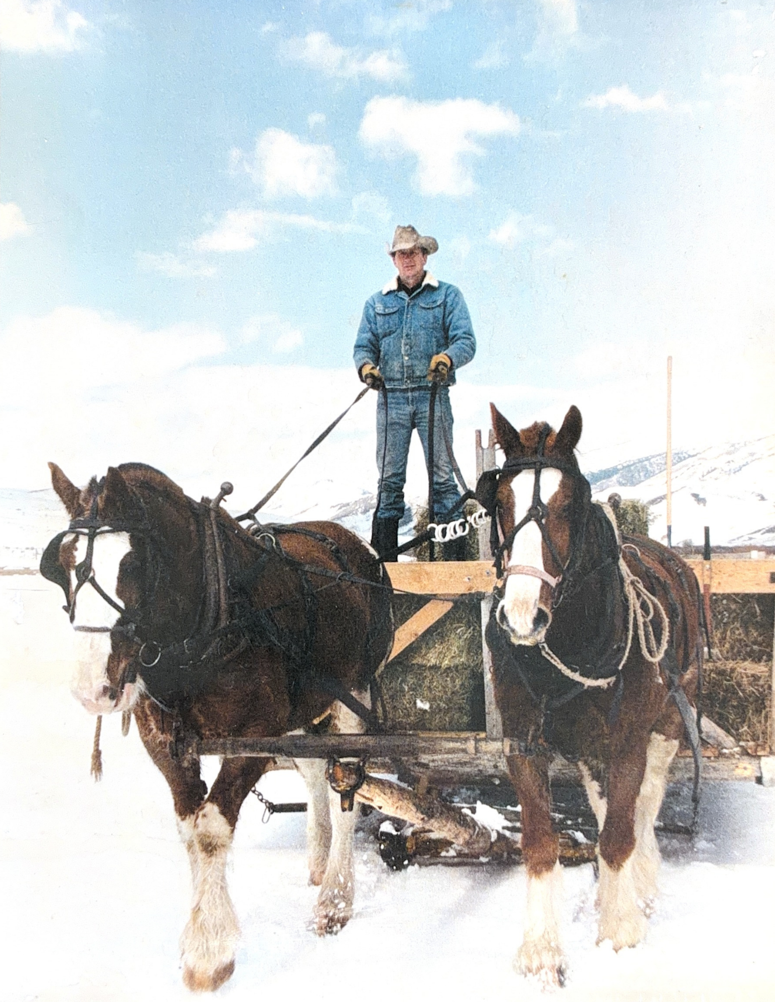 Man standing on a sled pulled by two Clydesdale horses in a snowy landscape.