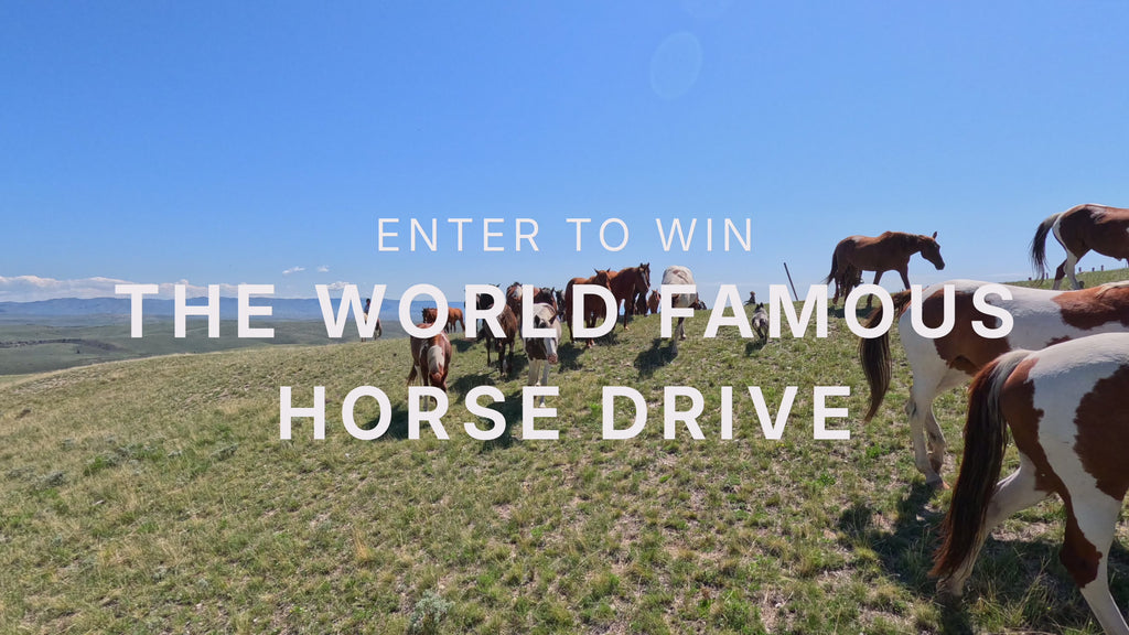 Video featuring the World Famous Horse drive at Silver Spur Ranch. Text discusses the giveaway running through the month of may.